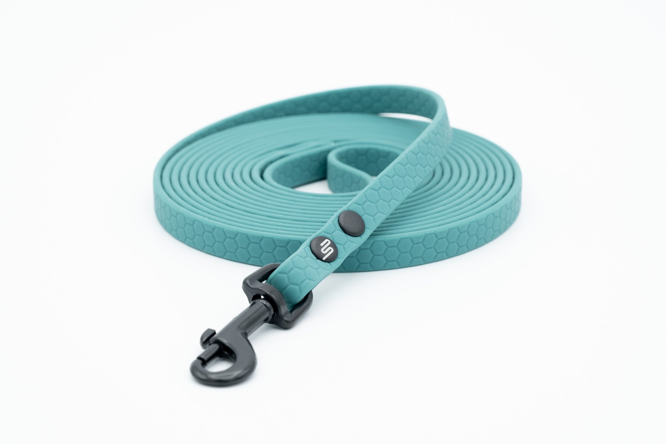 mini Leash