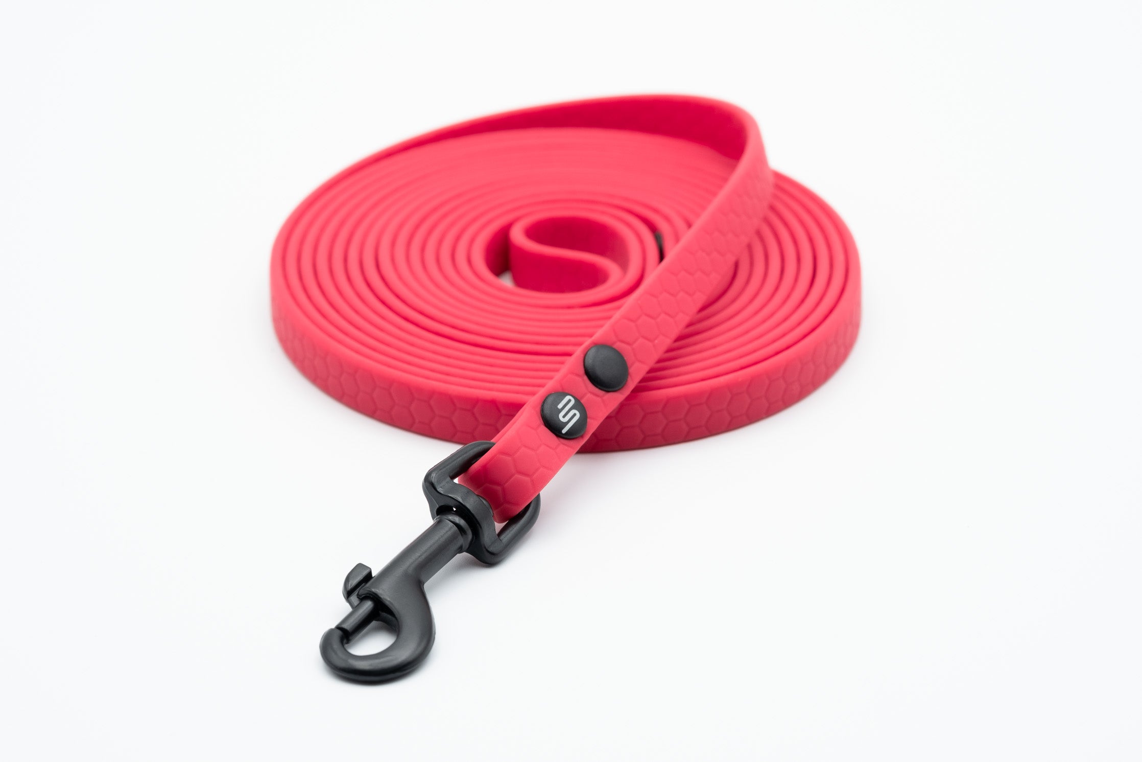 mini Leash