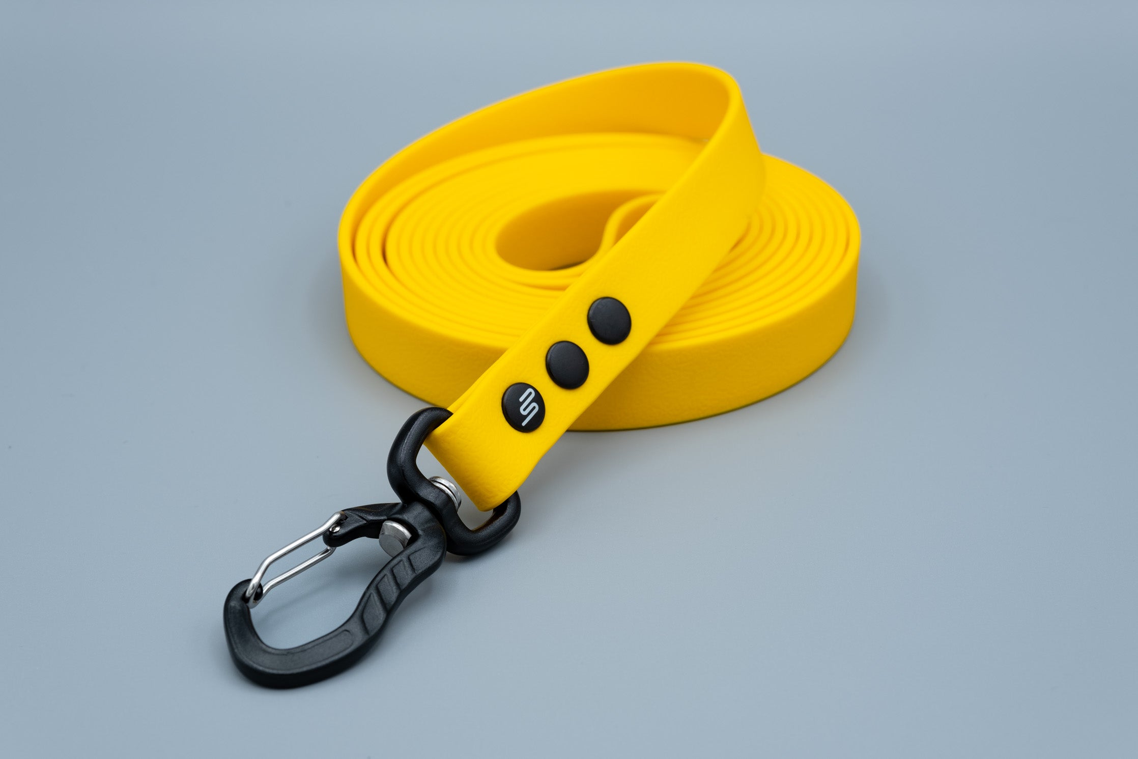 Mustard Edition Leash