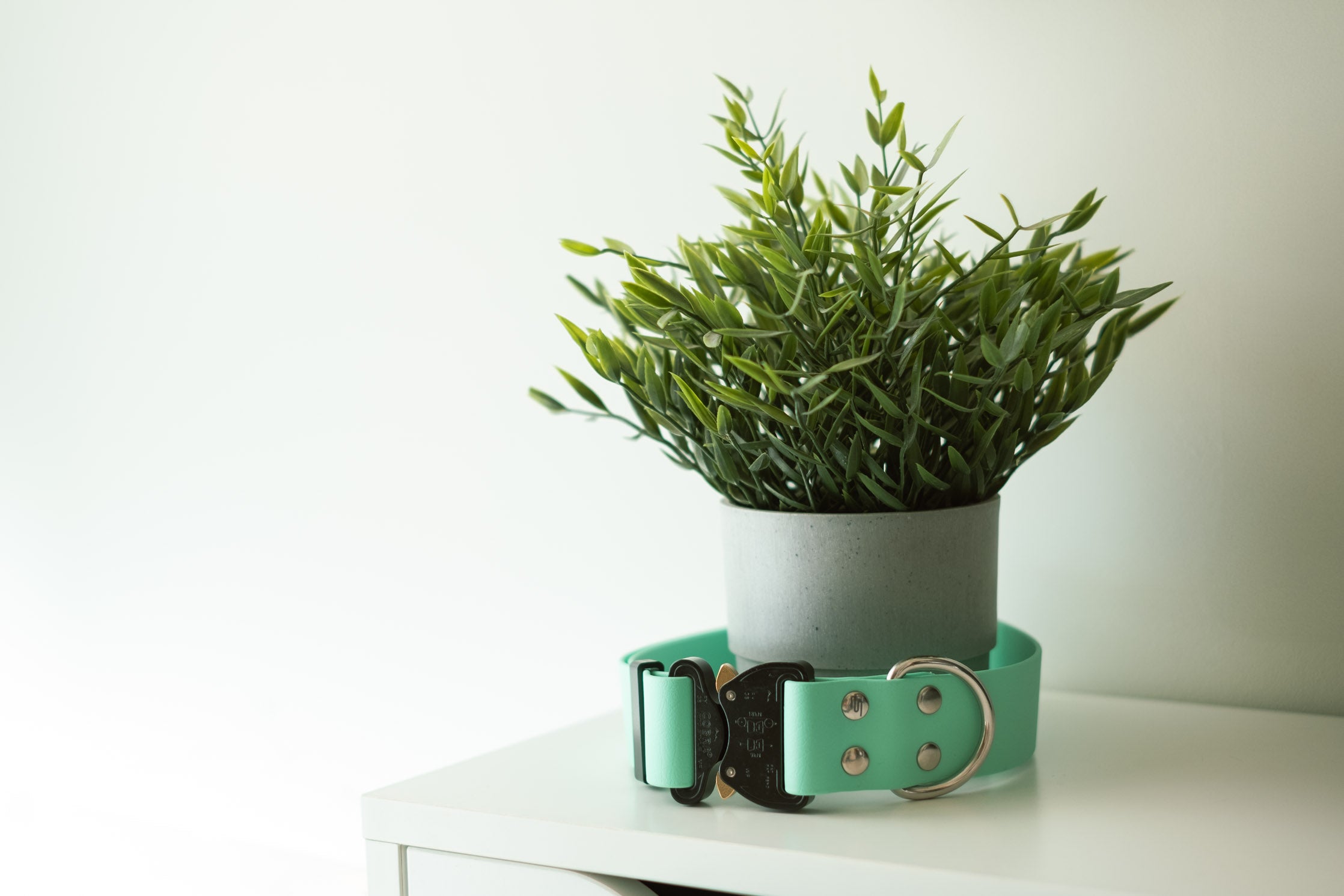 Pro Zenit Collar