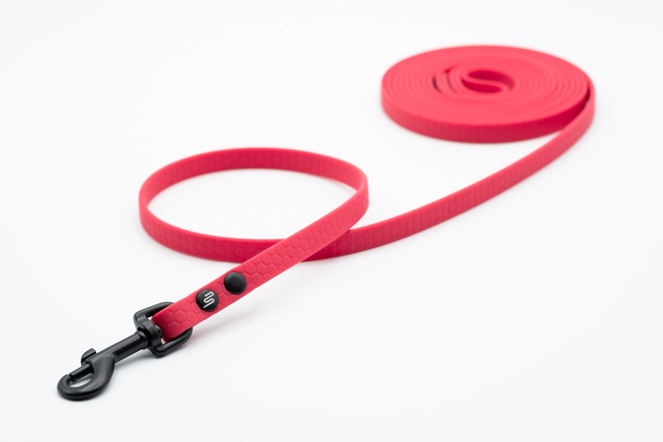 mini Leash
