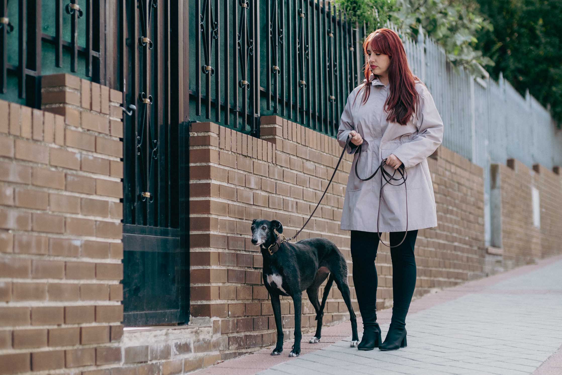 Manhattan Edition Leash