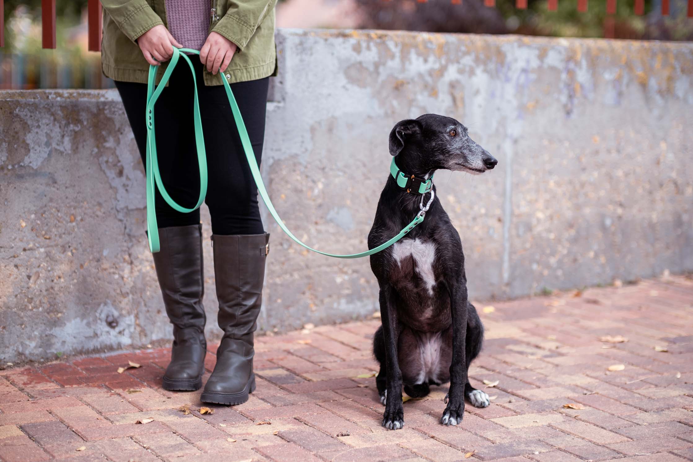 Pro Zenit Collar