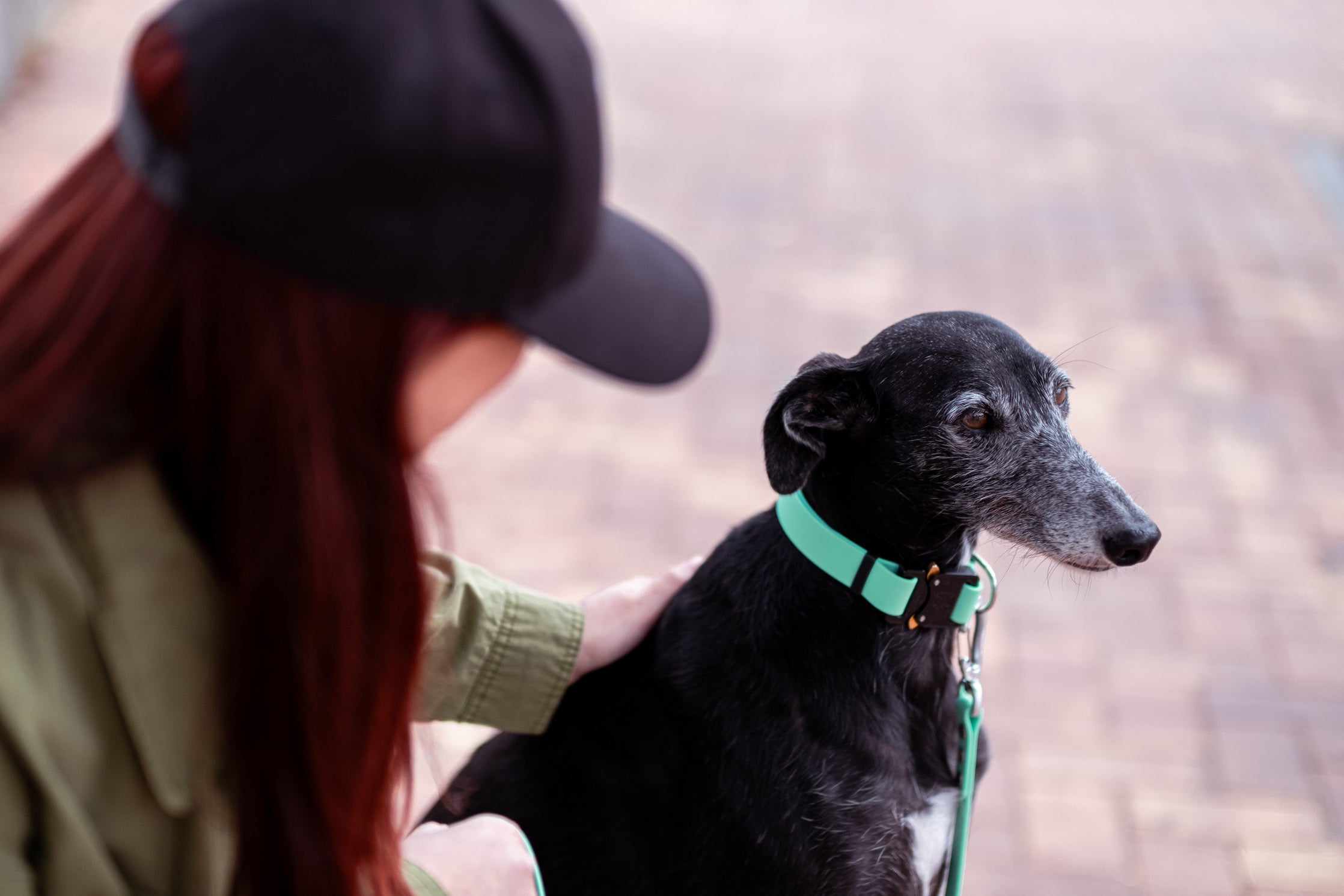 Pro Zenit Collar