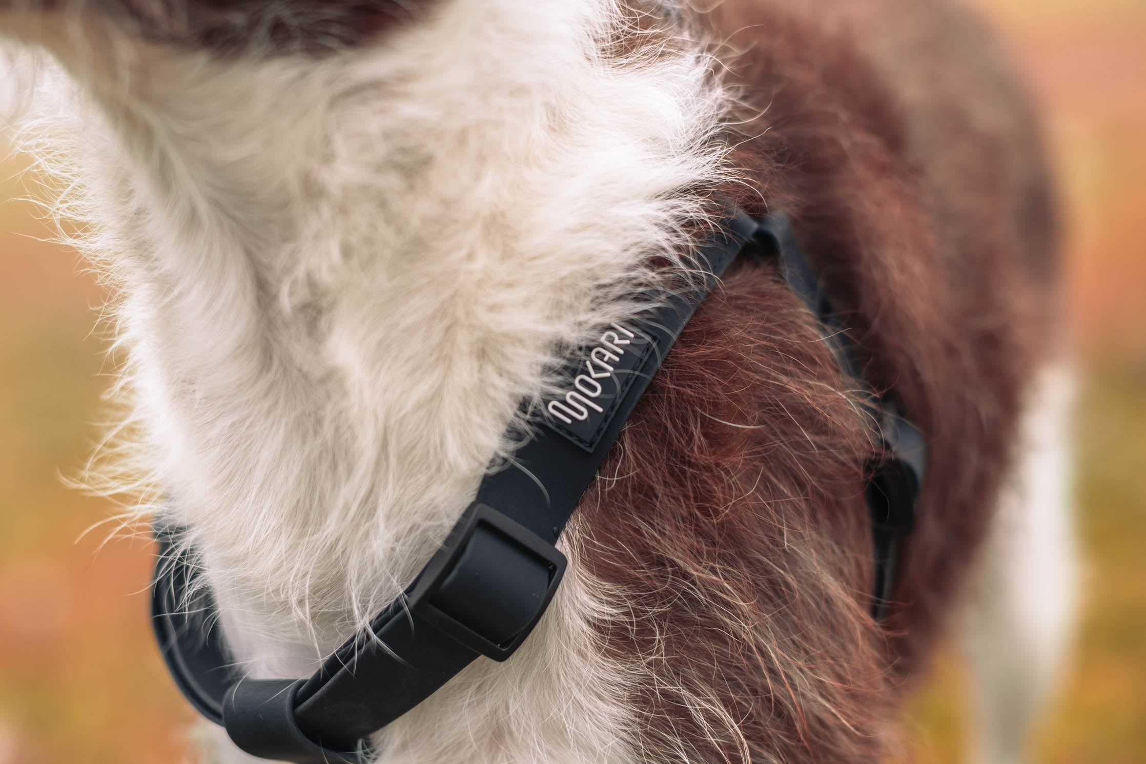 Arnés Mokari Essential