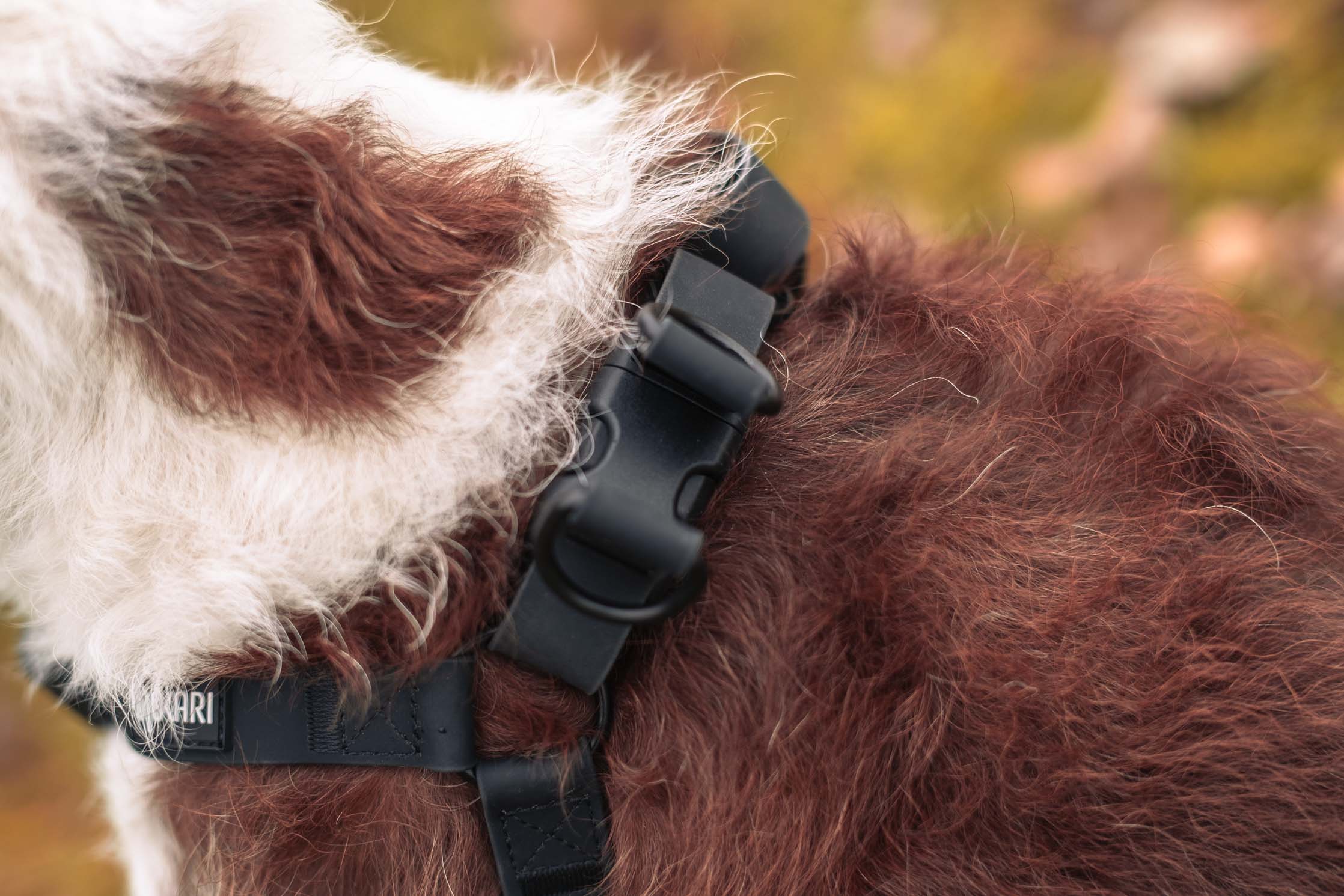 Arnés Mokari Essential