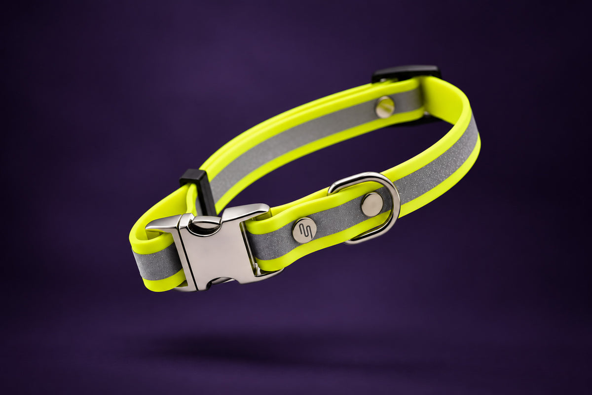 Collar Halo