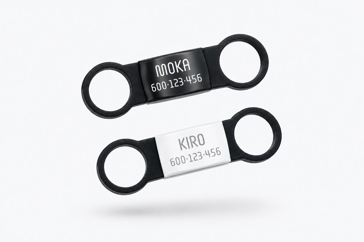 Placa Identificativa Inox con banda de silicona