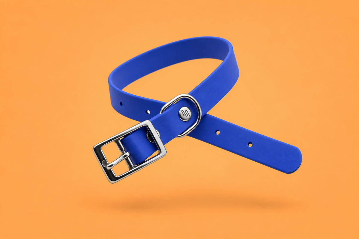 Collar BioThane