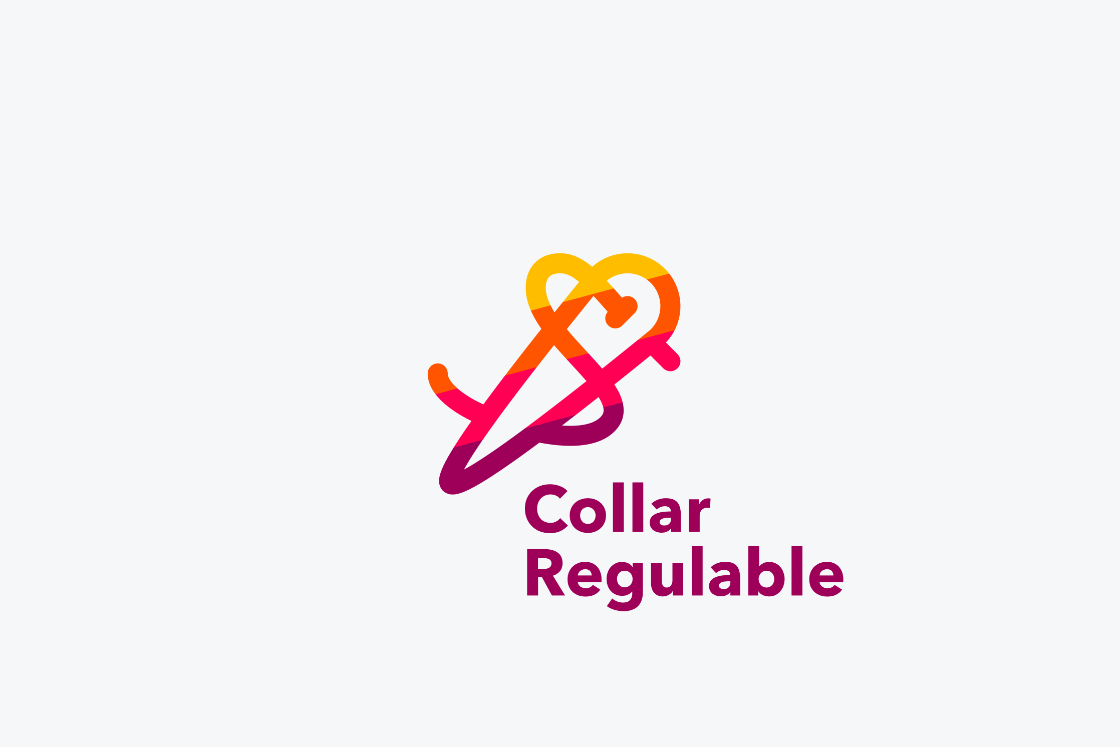 Collar Regulable Custom 'BioThane'