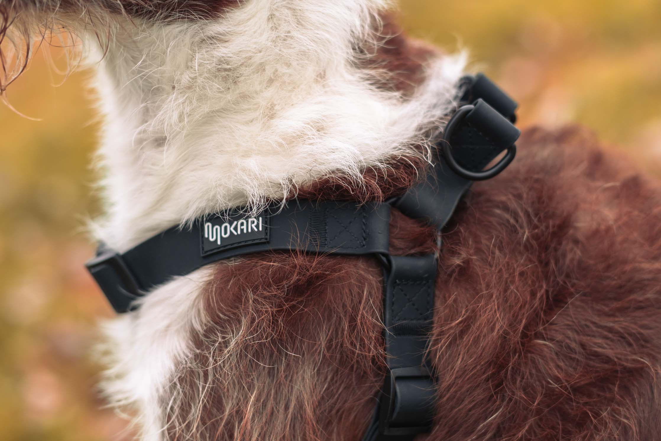 Arnés Mokari Essential