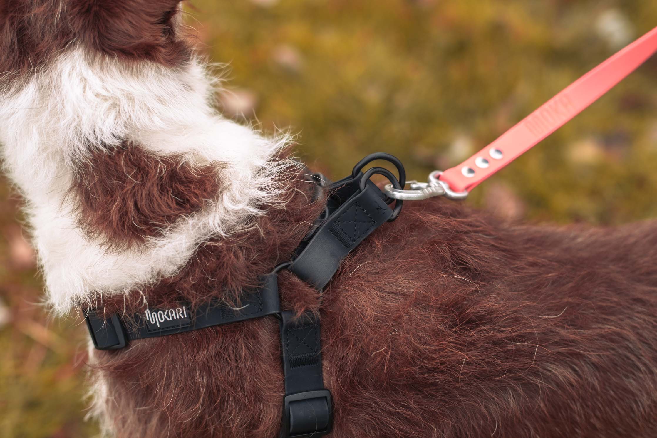 Arnés Mokari Essential