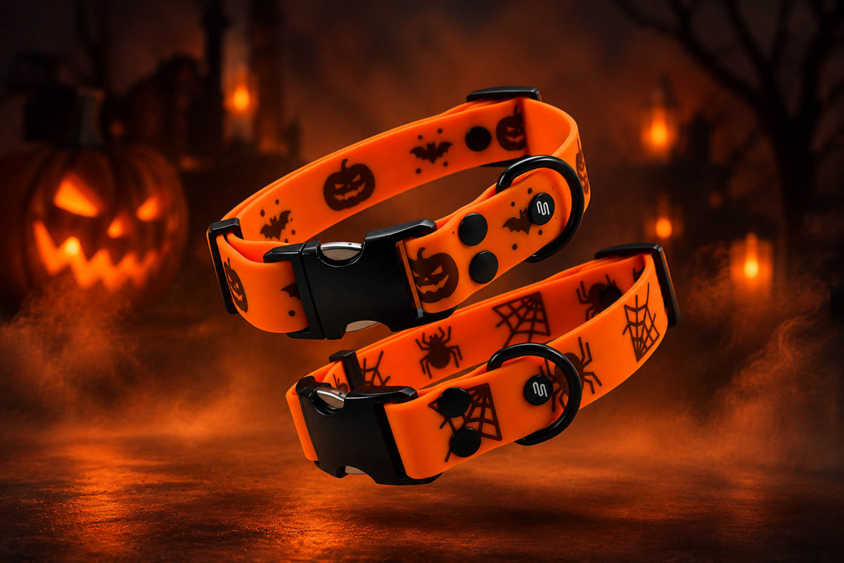 Collar Halloween