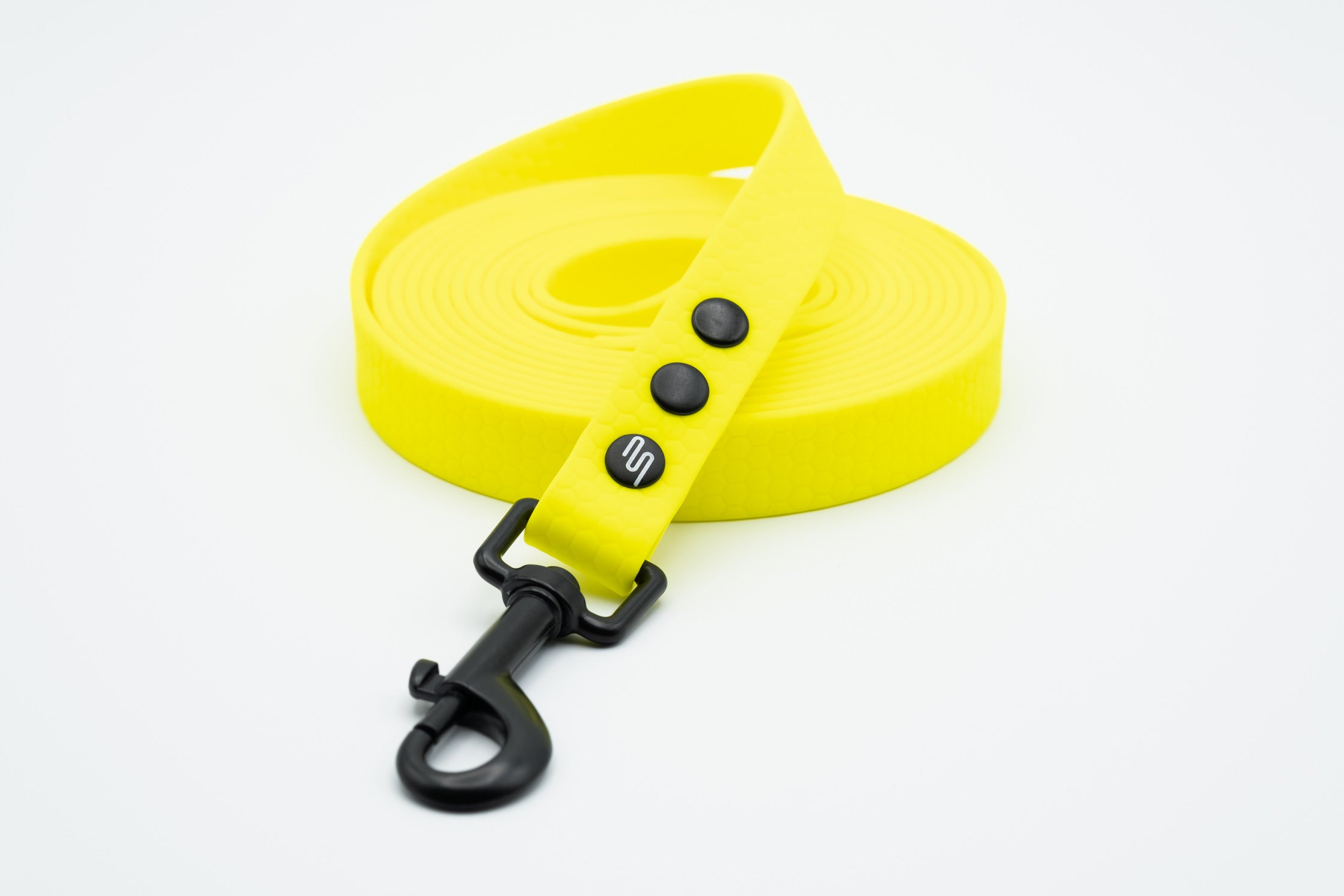 Basic Leash