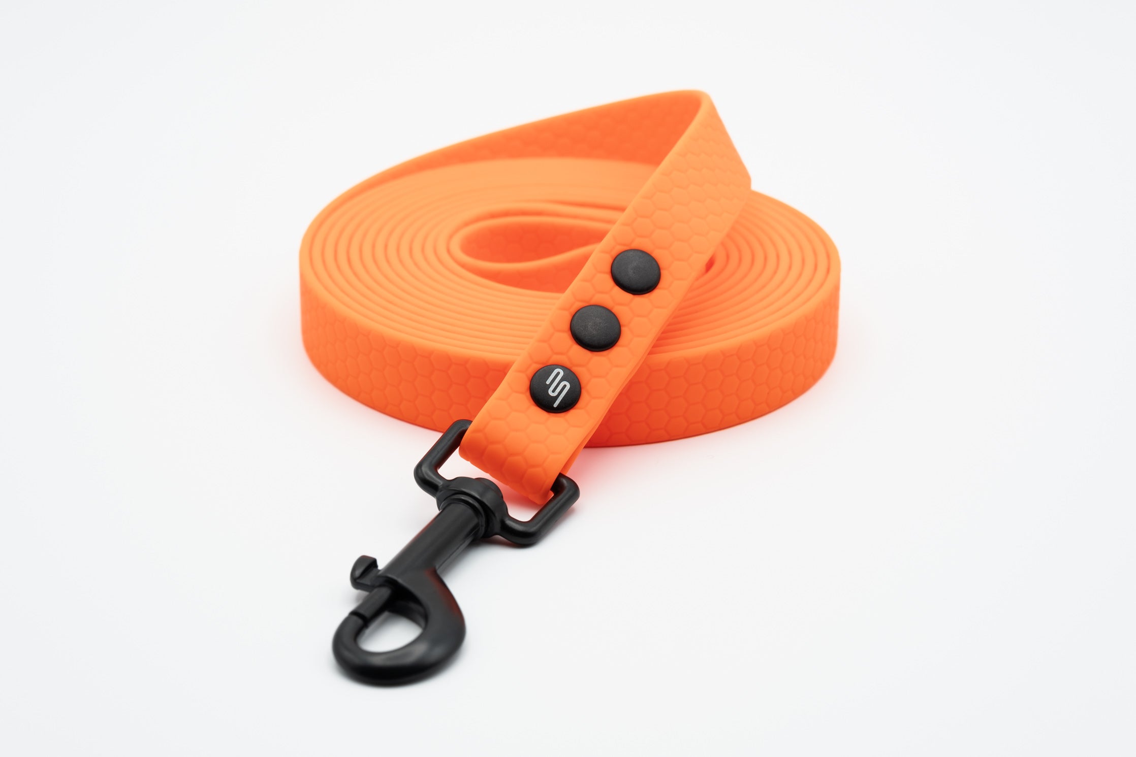 Basic Leash