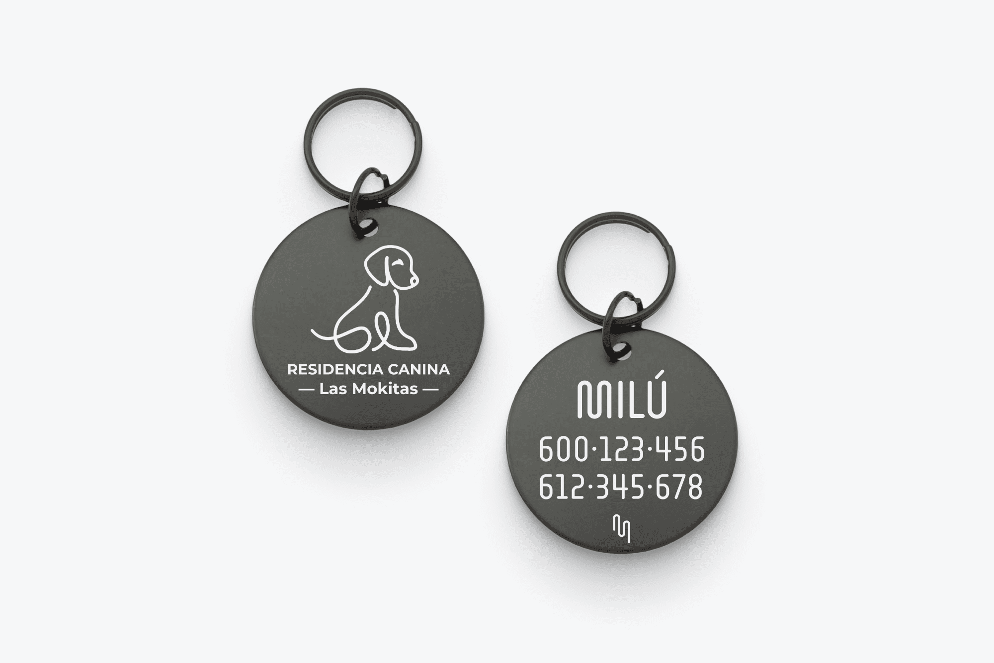 Placa Identificativa Inoxidable con Logo